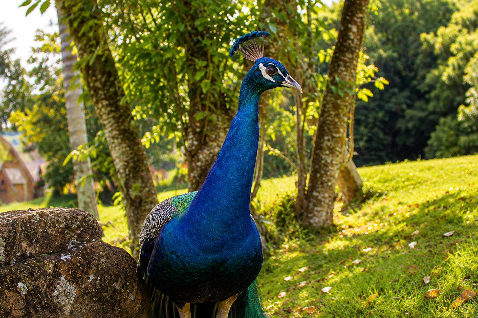 Contato com a natureza na Villa di Carpi